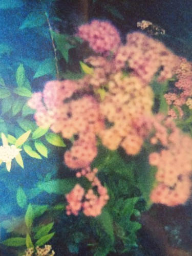 Fragments, Pieces
