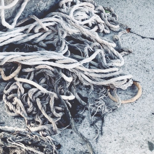 Dyers’ Hands