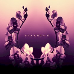 Nyx Orchid