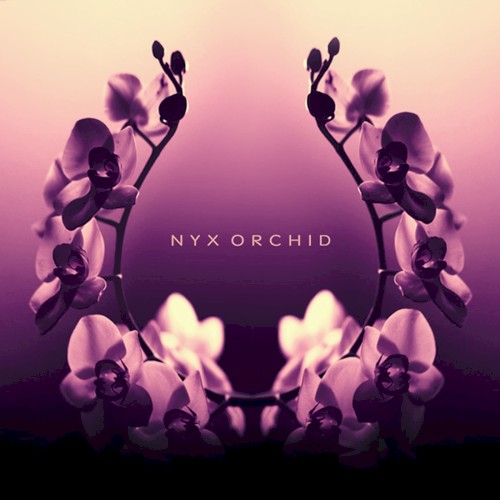 Nyx Orchid