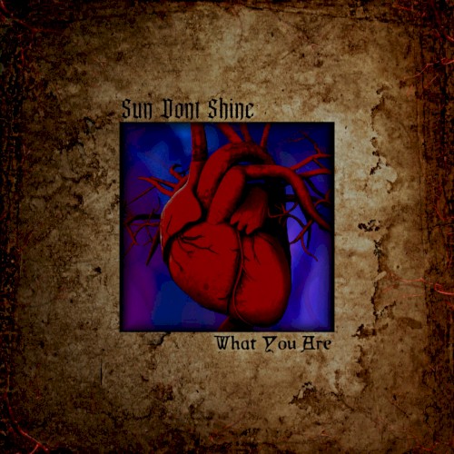 What You Are
