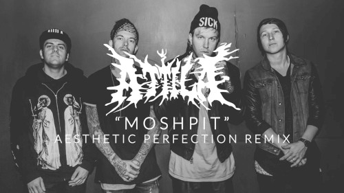 Moshpit (Aesthetic Perfection remix)