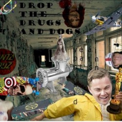 Drop the Drugs and Dogs