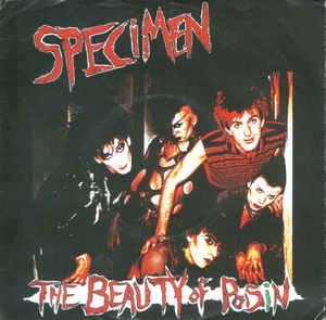 The Beauty of Poisin