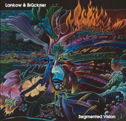 Segmented Vision