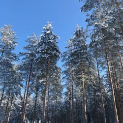GAIA 13