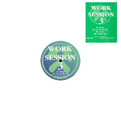 Work Session 3