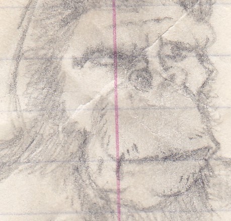 Primate