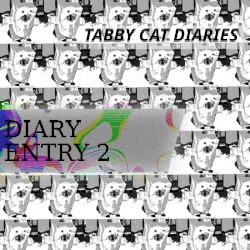 DIARY ENTRY 2
