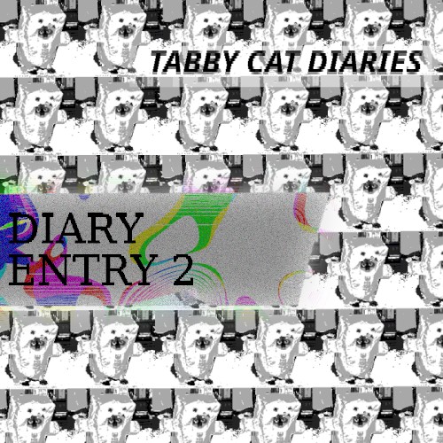 DIARY ENTRY 2