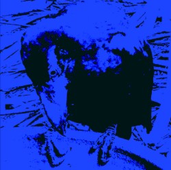 Indigo Dada
