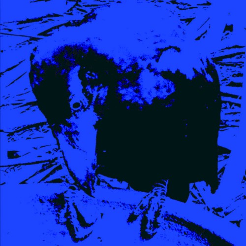 Indigo Dada