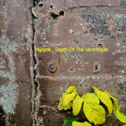 Depth of the Ventricoule