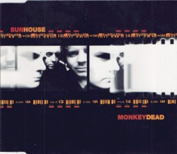 Monkey Dead