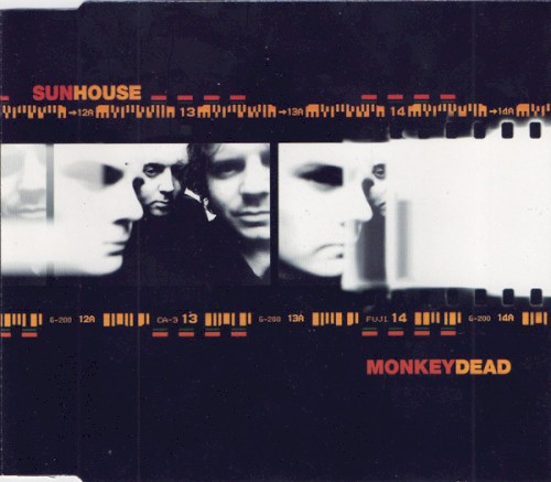 Monkey Dead