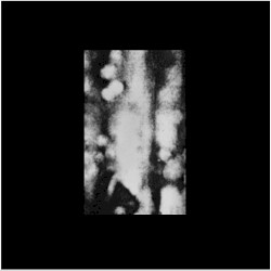 Untitled: 1981–1983