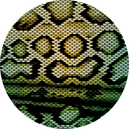 Boomslang