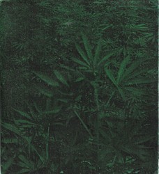 Demo No. 1