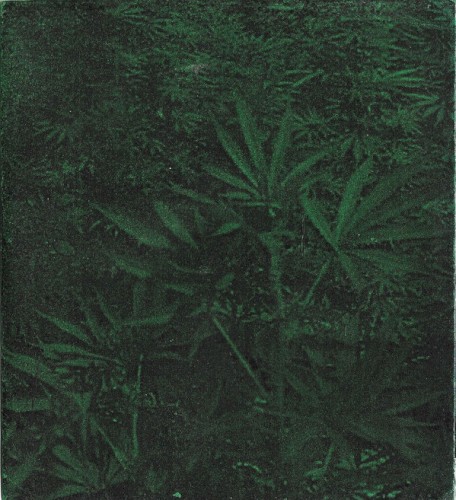 Demo No. 1