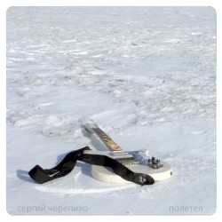Полетел