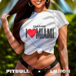 Damn I Love Miami