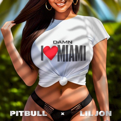 Damn I Love Miami