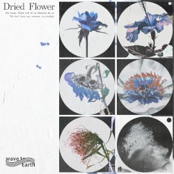 dried flower