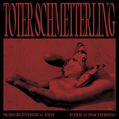 Toter Schmetterling