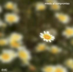 miedo al compromiso