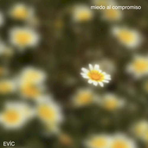 miedo al compromiso