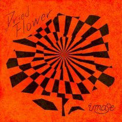 Dried Flower