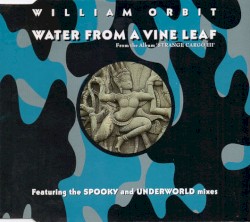 Water From a Vine Leaf