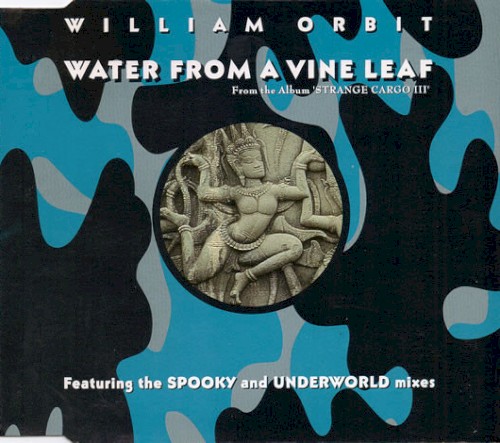 Water From a Vine Leaf