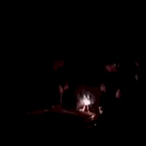 秋 Live @ Home 5/5/21