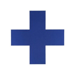 The Male Nurse