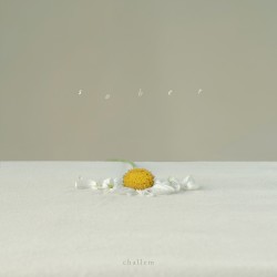 Sober