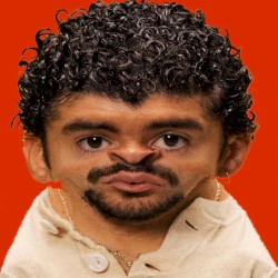 PIToRRO DE COCO