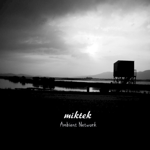 Ambient Network