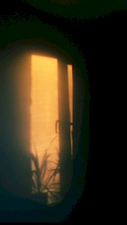 wake up slowly (the sun and you)