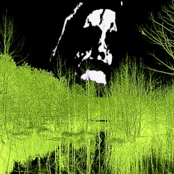 Lunatick Swarm Of Pitchforks [demo version]