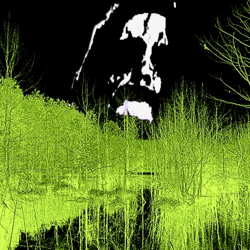 Lunatick Swarm Of Pitchforks [demo version]