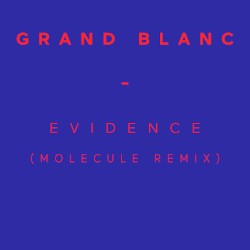 Evidence (Molecule Remix)