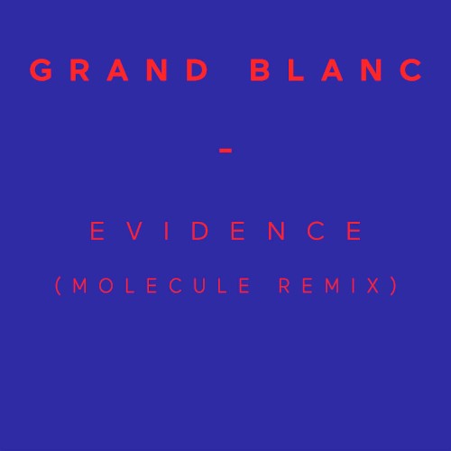 Evidence (Molecule Remix)