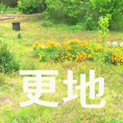 Vacant Lot