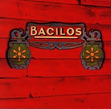 Bacilos