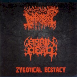 Zygotical Ecstacy