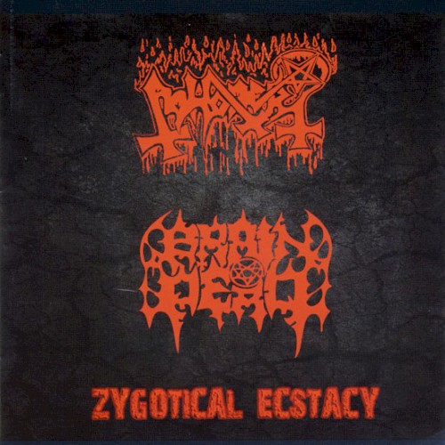 Zygotical Ecstacy