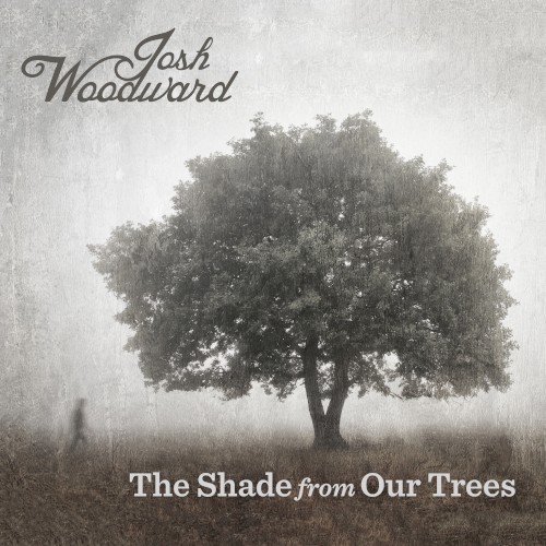 The Shade from Our Trees