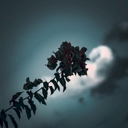 Idea 12