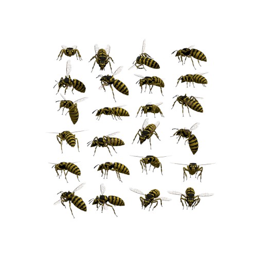🐝